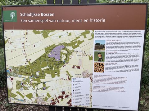 MTB-route Horst, Limburg — foto 3