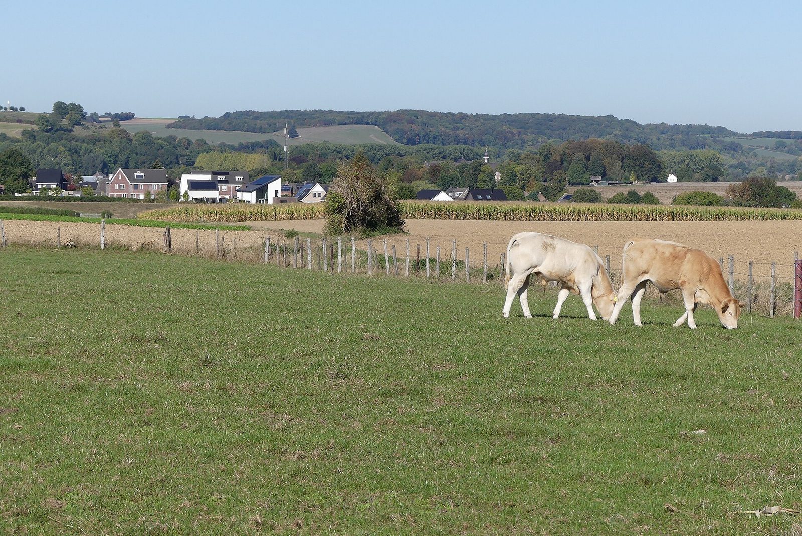 MTB-route Mechelen (Kinderroute), Zuid-Limburg — foto 1