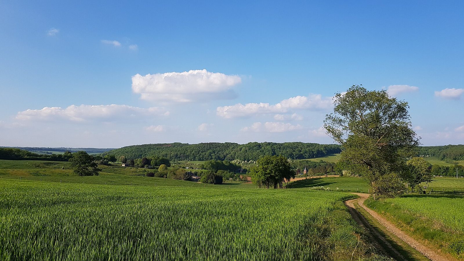 Sint - Geertruid (Gravel), Zuid-Limburg — foto 1