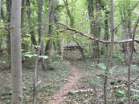 Sint - Geertruid (Gravel), Zuid-Limburg — foto 4