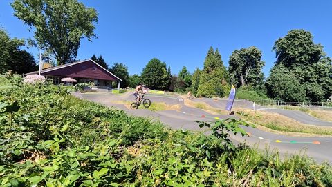MTB-route Sittard (Watersley), Limburg — foto 4