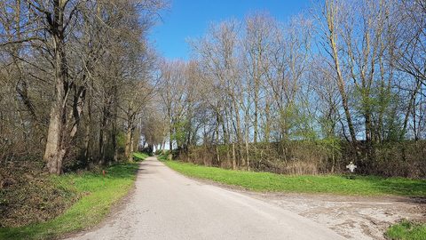 MTB-route Valkenburg (Cauberg), Zuid-Limburg — foto 2