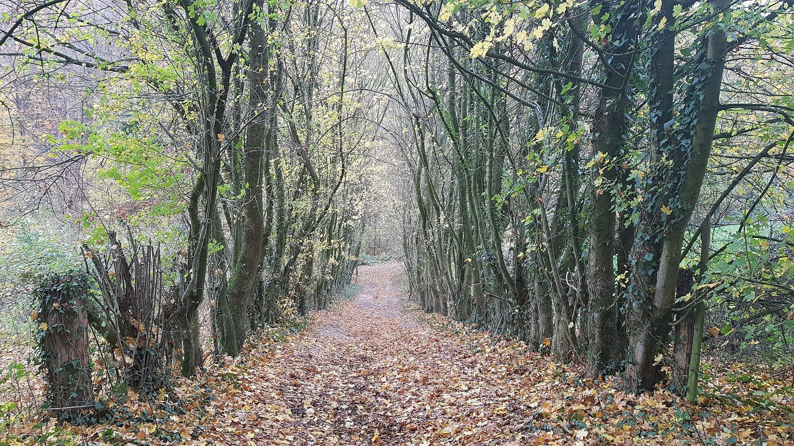 MTB-route Valkenburg (Houthem), Zuid-Limburg — foto 1
