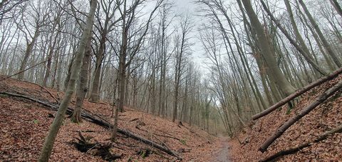 MTB-route Valkenburg (Houthem), Zuid-Limburg — foto 2