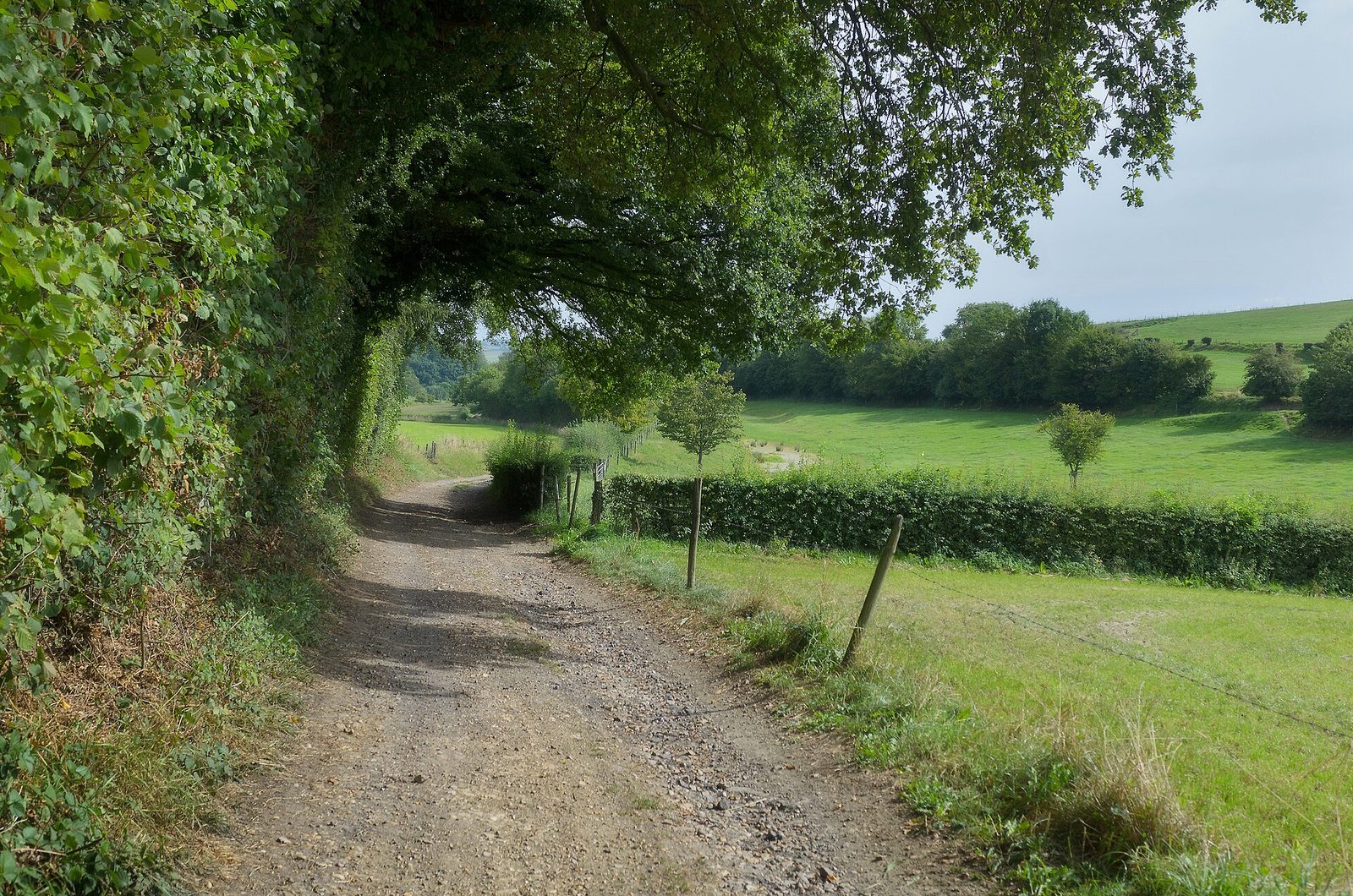 MTB-route Vijlen, Zuid-Limburg — foto 1