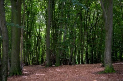 MTB-route Vijlen, Zuid-Limburg — foto 3