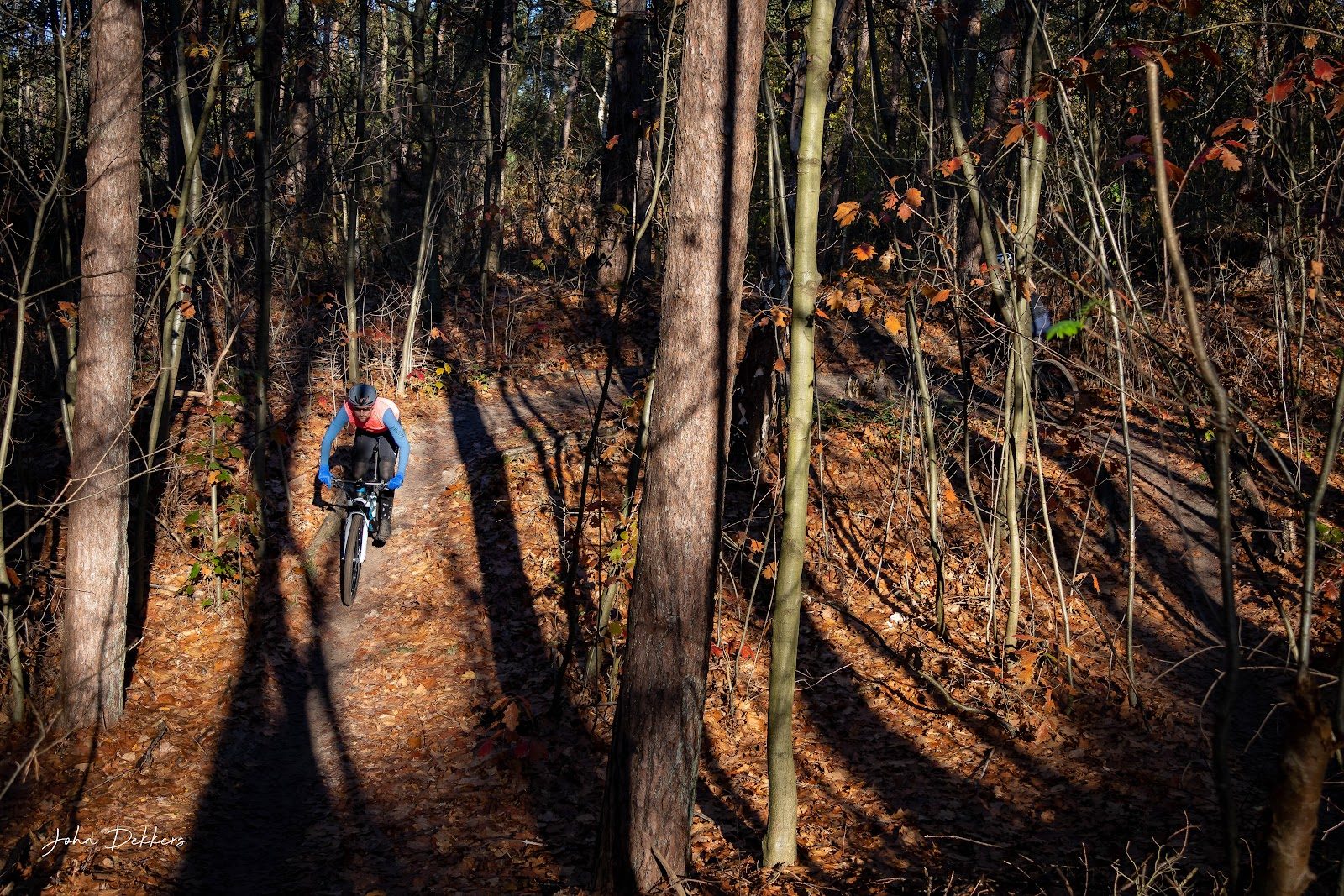 MTB-route Bergen op Zoom (Bergse Heide), Brabantse Wal — foto 1