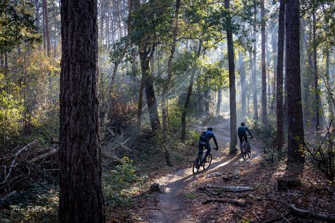 MTB-route Bergen op Zoom (Bergse Heide), Brabantse Wal — foto 2