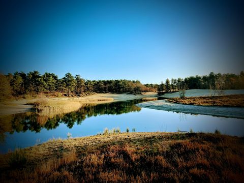 MTB-route Bergen op Zoom (Bergse Heide), Brabantse Wal — foto 3