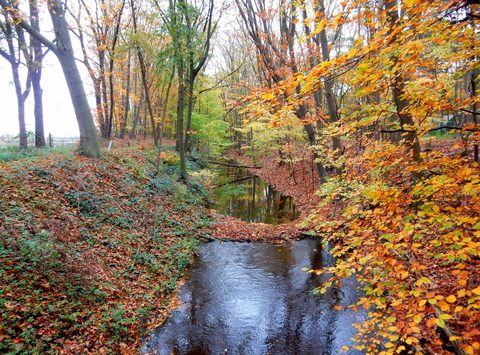 MTB-route Bergen op Zoom (Col du Kragge), Brabantse Wal — foto 2