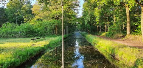 MTB-route Berlicum, Het Groene Woud — foto 2