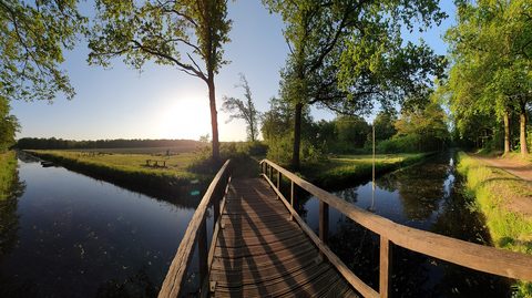 MTB-route Berlicum, Het Groene Woud — foto 3