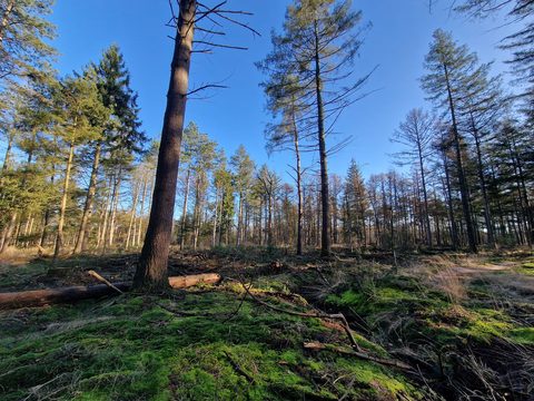 MTB-route Best (Noord), Noord-Brabant — foto 3
