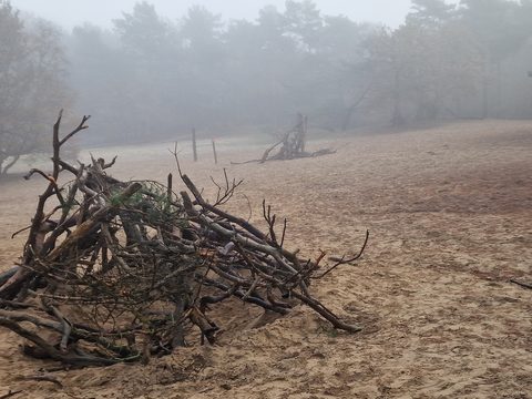 MTB-route Dorst, Noord-Brabant — foto 2