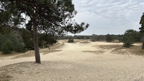 MTB-route Dorst, Noord-Brabant — foto 4