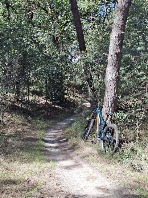 MTB-route Drunen, Loonse en Drunense Duinen — foto 3