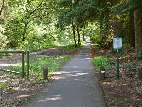 MTB-route Eersel, Kempenland — foto 2