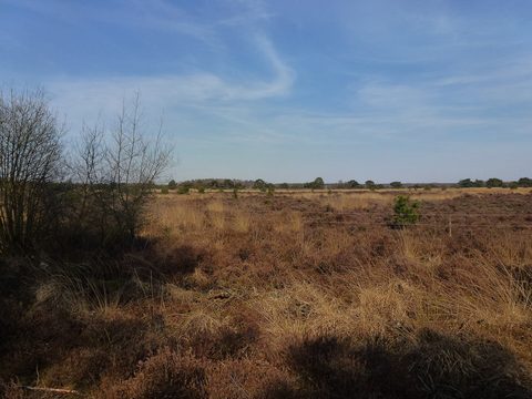 MTB-route Eersel, Kempenland — foto 3