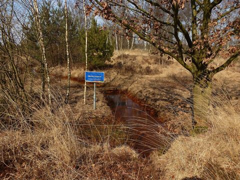 MTB-route Eersel, Kempenland — foto 4