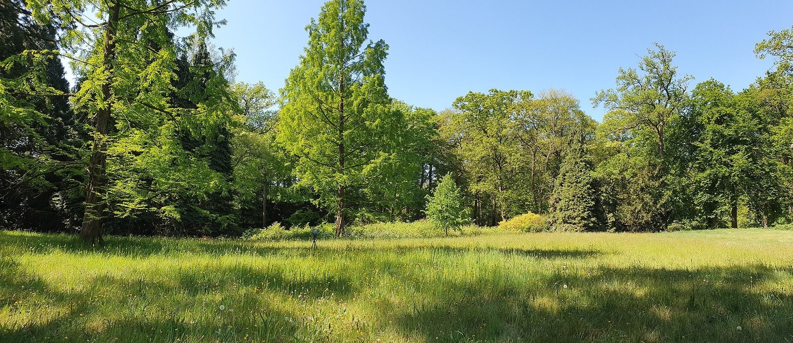 MTB-route Gemonde, Noord-Brabant — foto 1