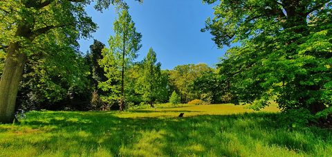 MTB-route Gemonde, Noord-Brabant — foto 2