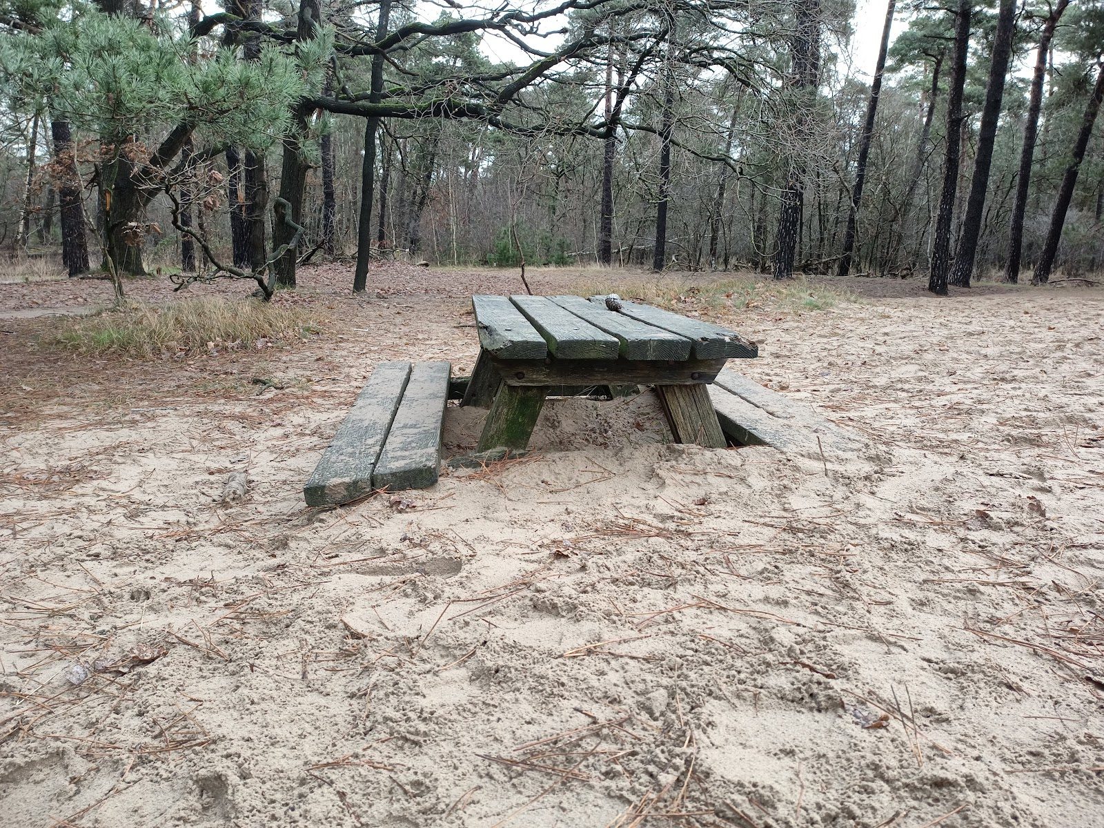 MTB-route Giersbergen, Loonse en Drunense Duinen — foto 1