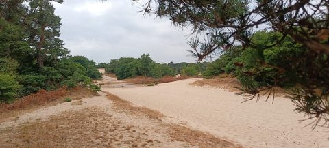 MTB-route Giersbergen, Loonse en Drunense Duinen — foto 3