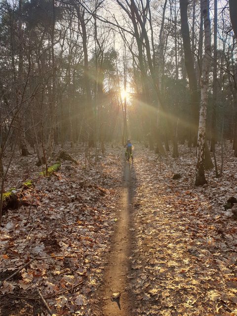 MTB-route Giersbergen, Loonse en Drunense Duinen — foto 4