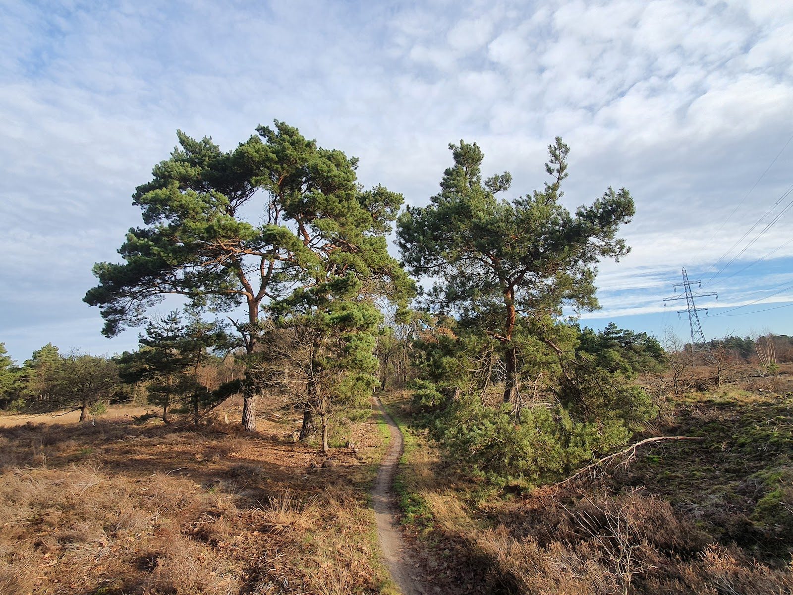 MTB-route Heeze, Noord-Brabant — foto 1