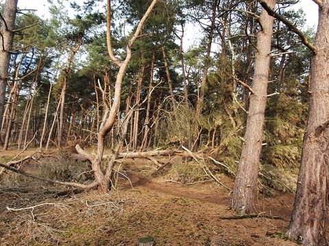 MTB-route Heeze, Noord-Brabant — foto 2