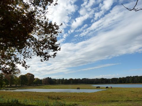 MTB-route Herpen, Maashorst — foto 3