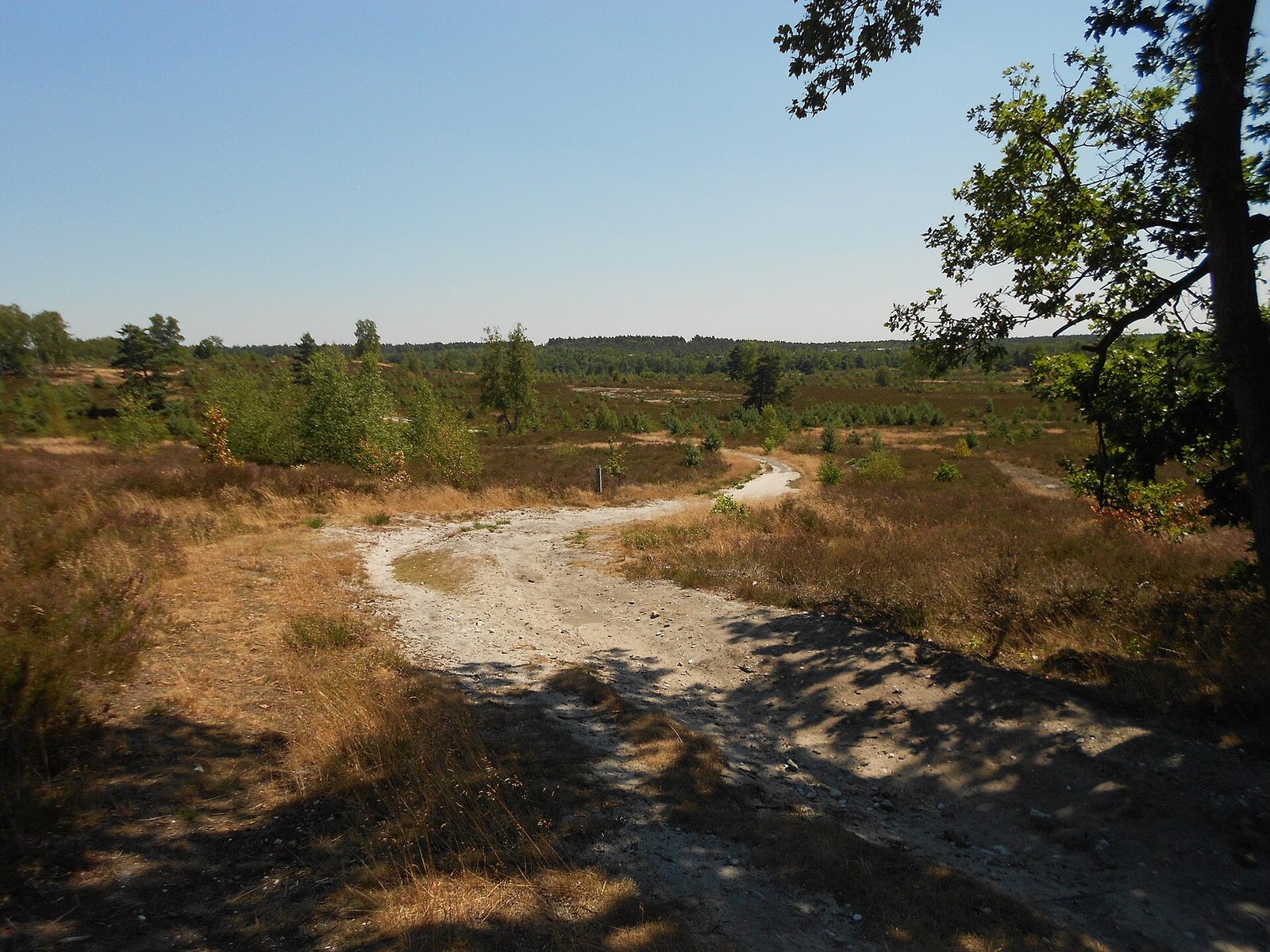 MTB-route Kempenlandroute (Combi Routes), Kempenland — foto 1