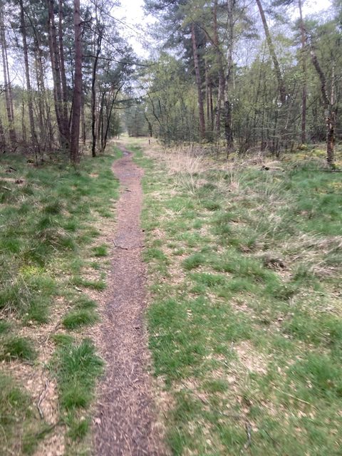 MTB-route Lierop, Noord-Brabant — foto 4