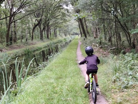 MTB-route Liessel (Leensel), De Peel — foto 2