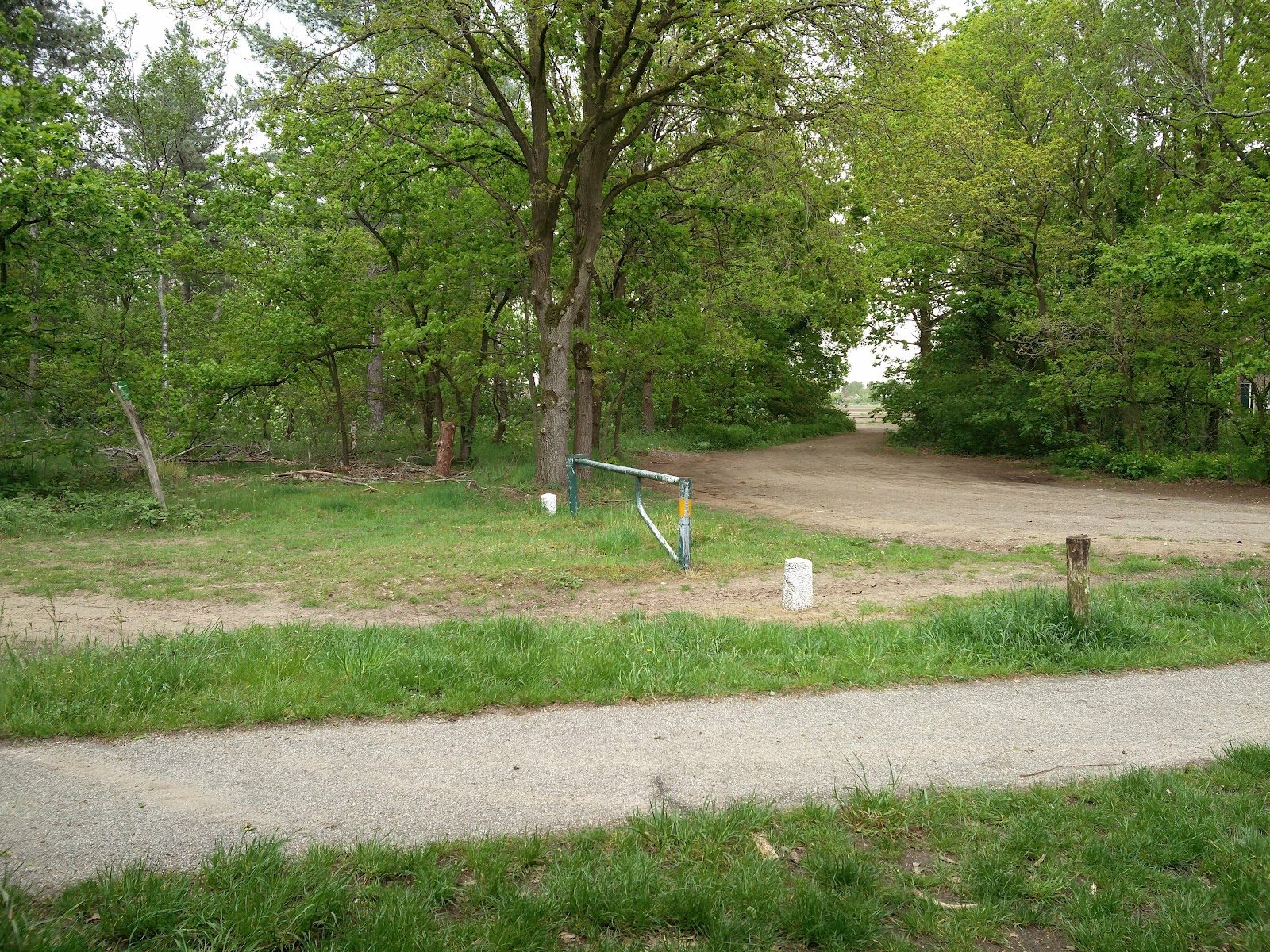 MTB-route Liessel, De Peel — foto 1