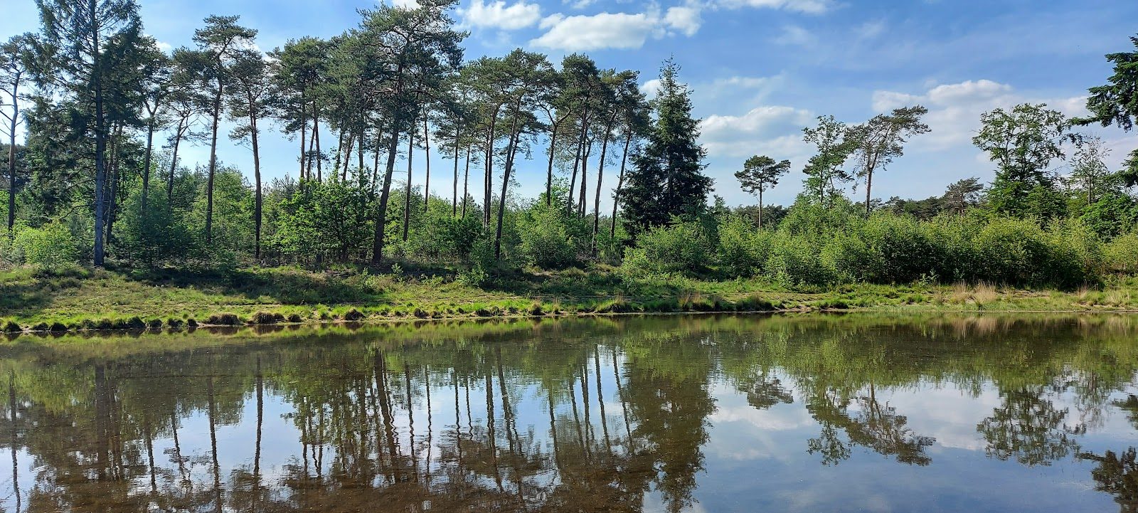 MTB-route Luyksgestel, Kempenland — foto 1