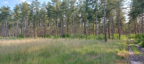 MTB-route Luyksgestel, Kempenland — foto 2