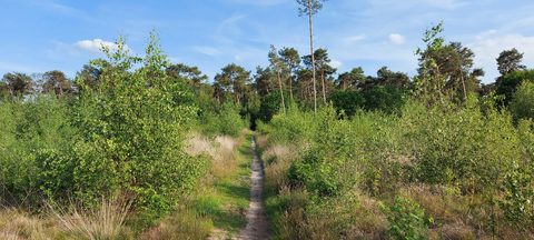 MTB-route Luyksgestel, Kempenland — foto 3