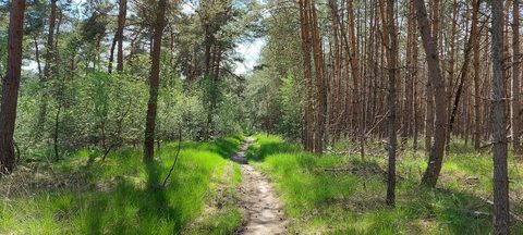 MTB-route Luyksgestel, Kempenland — foto 4