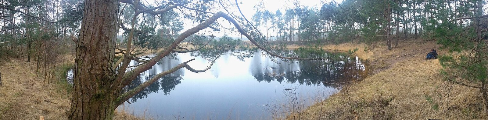 MTB-route Oirschot, Het Groene Woud — foto 1