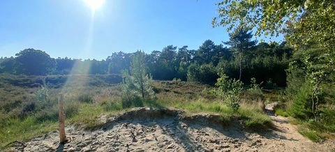 MTB-route Ossendrecht (Stoppelbergen), Brabantse Wal — foto 2