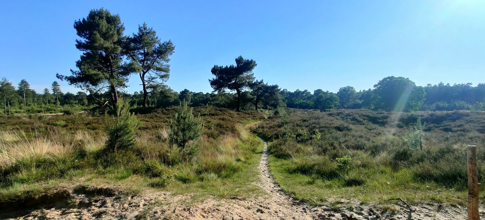 MTB-route Ossendrecht (Wildernissen), Brabantse Wal — foto 1
