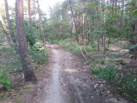 MTB-route Reek, Maashorst — foto 2
