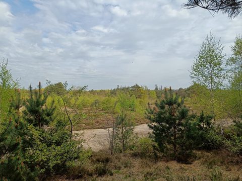 MTB-route Reek, Maashorst — foto 3