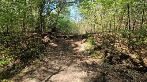 MTB-route Reek, Maashorst — foto 4