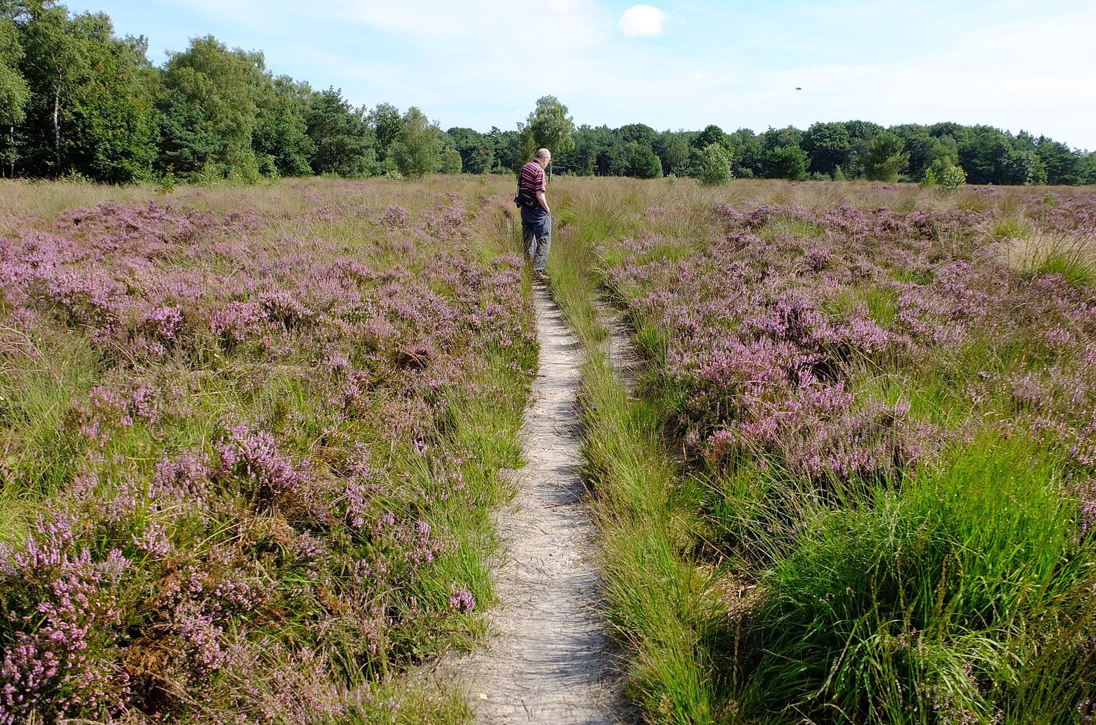 MTB-route Rucphen, Noord-Brabant — foto 1