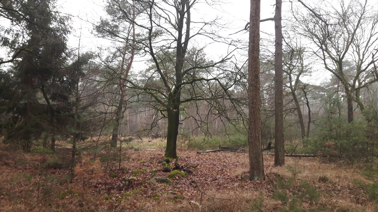 MTB-route Someren, Noord-Brabant — foto 1