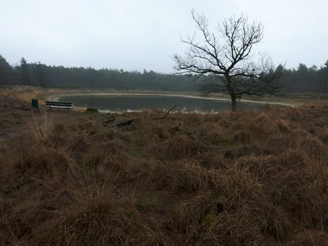 MTB-route Someren, Noord-Brabant — foto 2