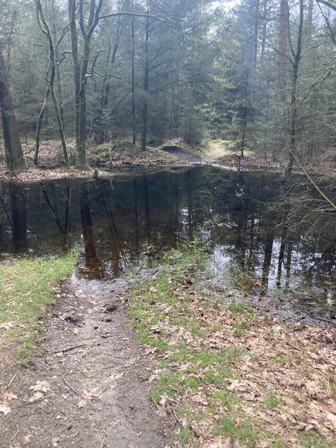MTB-route Someren, Noord-Brabant — foto 3