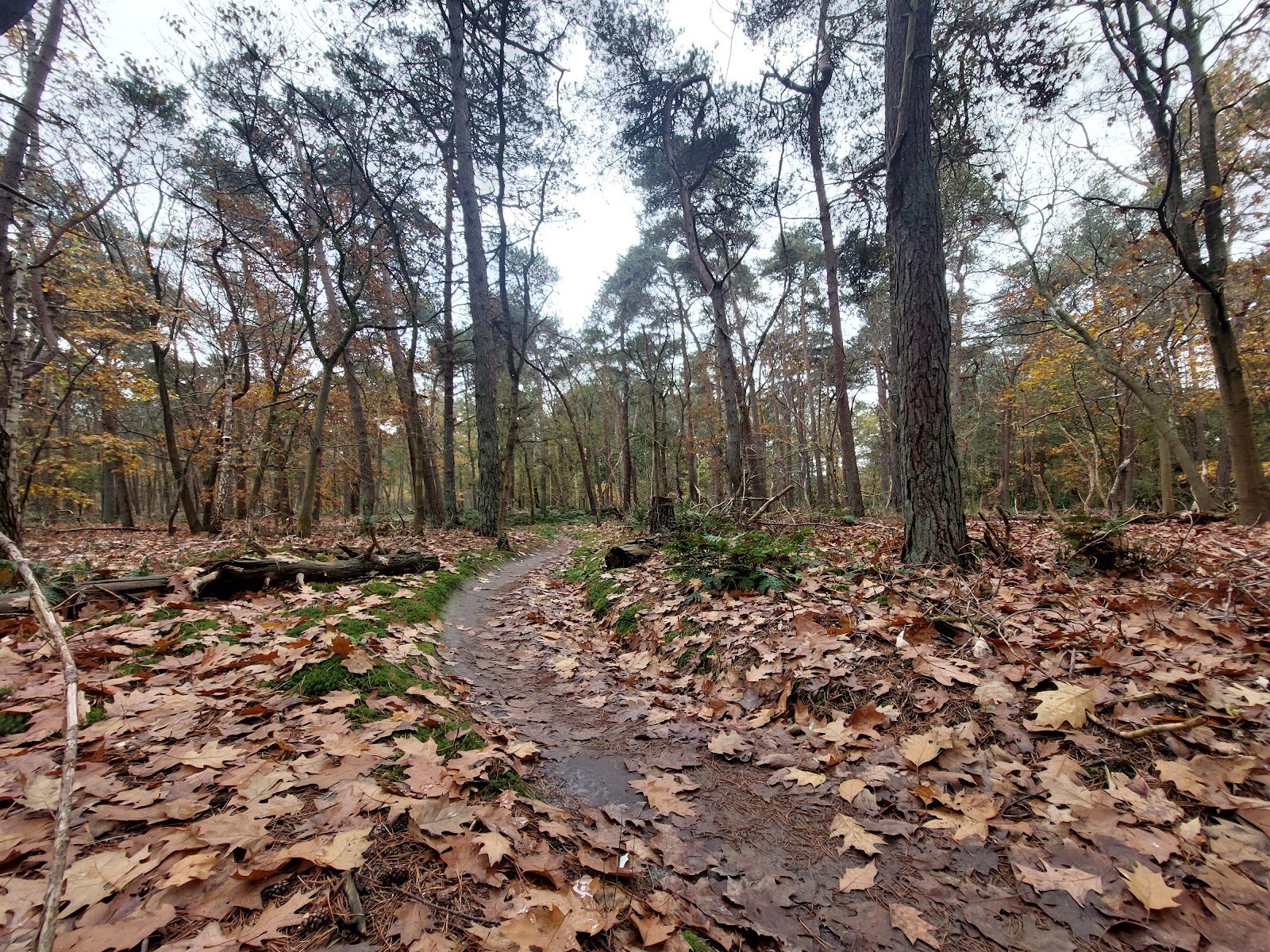 MTB-route Tilburg, Noord-Brabant — foto 1
